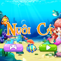 nuoi-ca