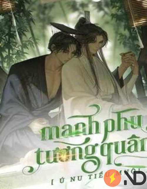 manh-phu-tuong-quan