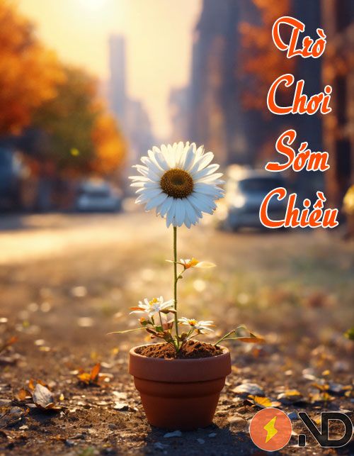 tro-choi-som-chieu