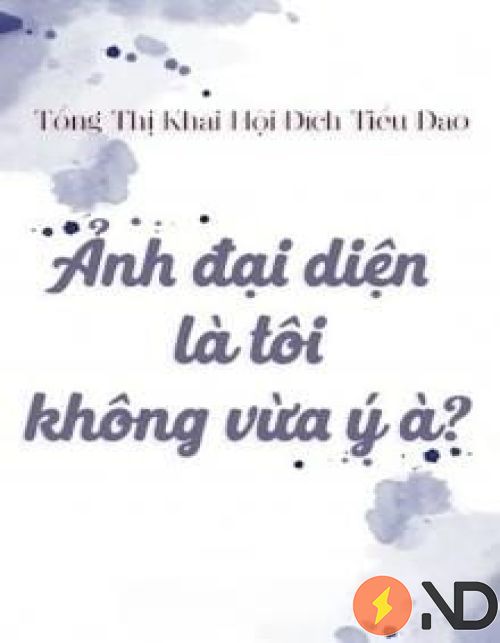 anh-dai-dien-la-toi-khong-vua-y-a