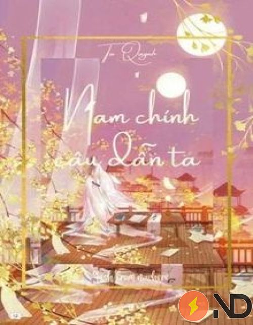 nam-chinh-cau-dan-ta