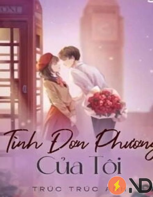 tinh-don-phuong-cua-toi